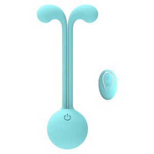 착용형 리모컨 진동기